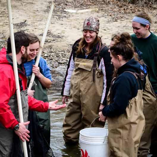 学生s examining fish in a creek with Dr. Terrence Malloy in Biology class